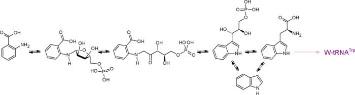 Триптофан от эвалар: инструкция по применению, аналоги, отзывы, стоимость