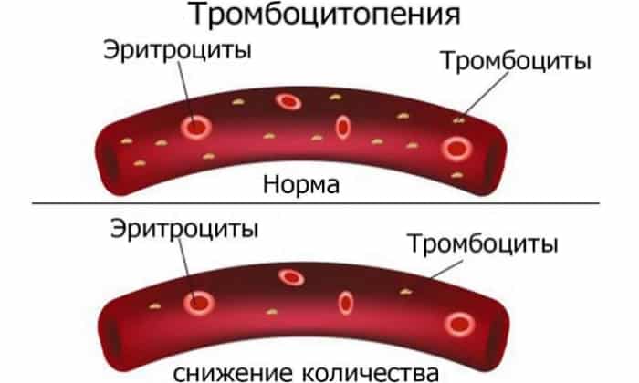 Аналоги телмиста