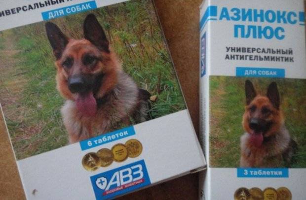 Азинокс Плюс