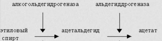 Как принимать препарат бисептол от кашля: инструкция к использованию, рекомендуемая дозировка, побочные эффекты
