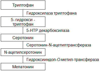 Триптофан эвалар. отзывы пациентов принимавших препарат, инструкция по применению, аналоги, состав