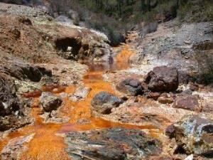 Питание термофильных бактерий и вызываемые ими процессы