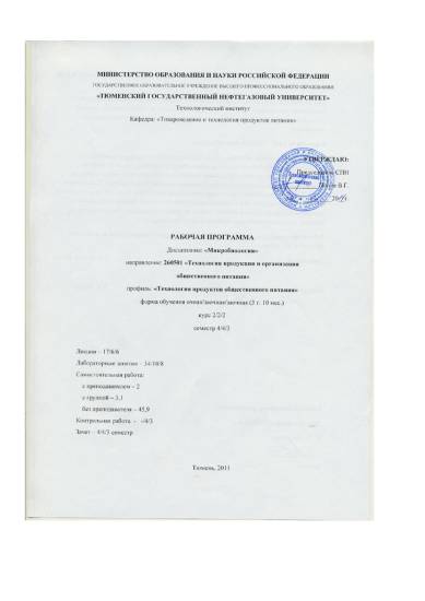 Любители тепла – термофильные свободноживущие бактерии