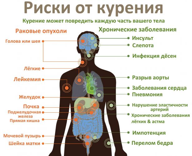Влияние курения на органы дыхания