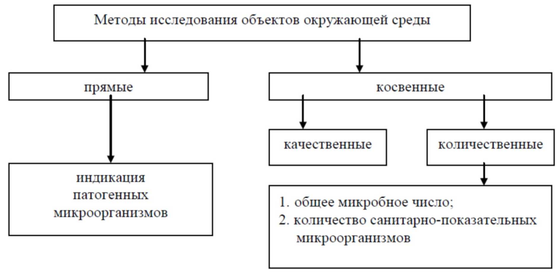 Где мы применяем бактерии и может ли человечество обойтись без них?