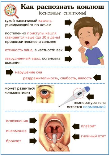 Лечение кашля при гайморите у детей и взрослых
