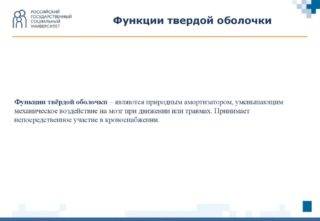 Эпидуральное, субдуральное и подпаутинное пространство