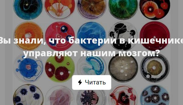 Какая максимальная температура ведет к гибели микробов