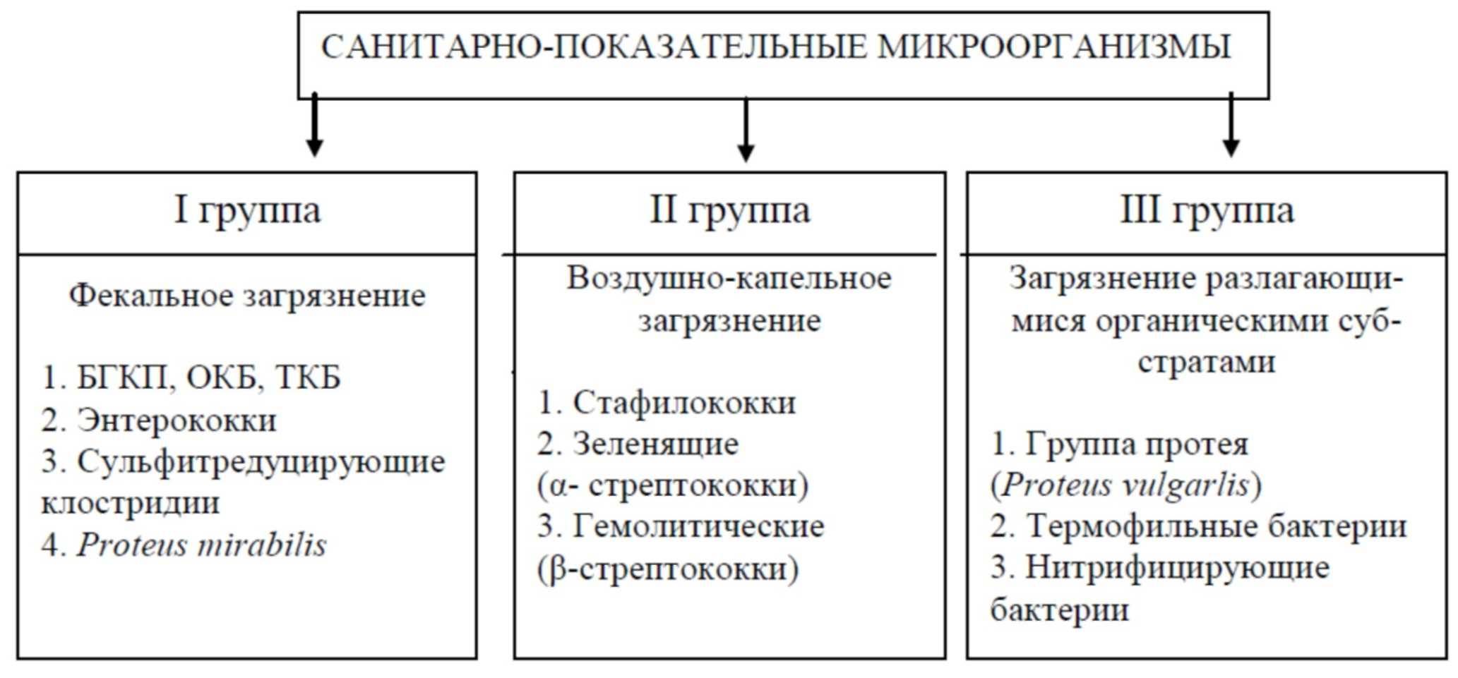 Термофильные дрожжи: правда ли они выживают в желудке и захватывают наши организмы