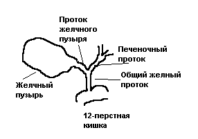 Симптомы болезни печени и поджелудочной железы