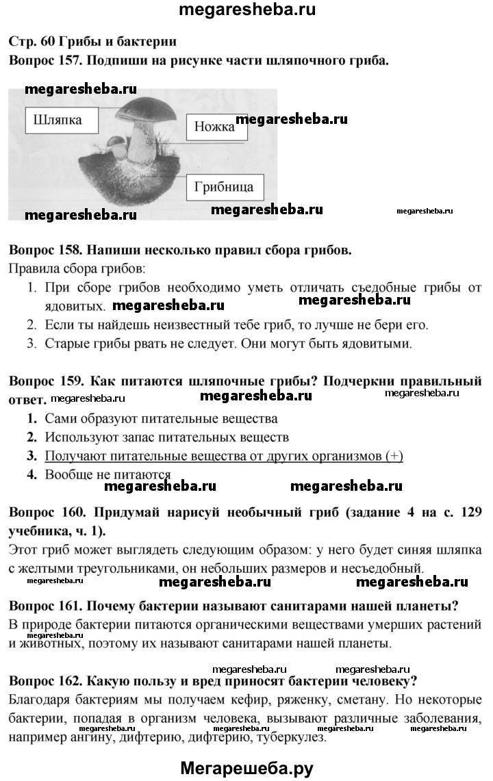 Какие бактерии являются санитарами нашей планеты?