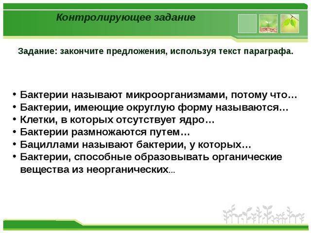 Особенности деления бактерий на группы