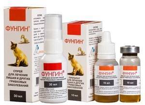 Использование препарата Фунгин Форте для лечения заболеваний кожи у кошек
