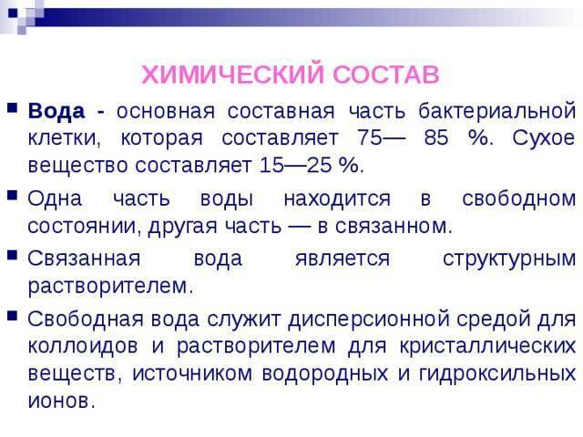 Метаболизм, или за счет чего живут бактерии