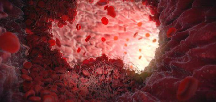 Гордокс - официальная инструкция по применению