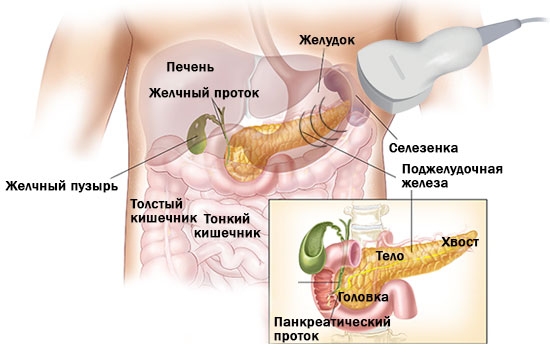 Лечение печени желчного и поджелудочной железы