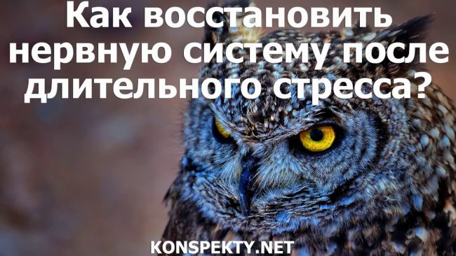 Нервное истощение - симптомы и лечение нервной системы, препараты | здрав-лаб