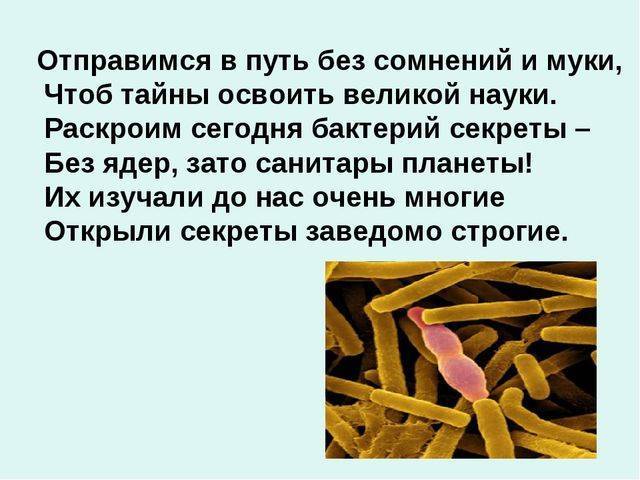 Почему бактерии называют санитарами нашей планеты?  - ответ по другое