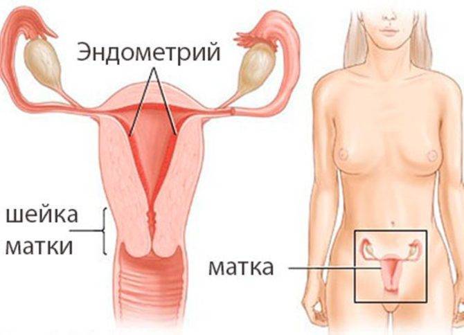 Транексам таблетки                 инструкция по применению