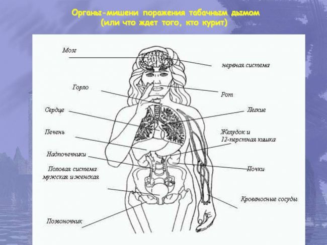 Что будет если выкурить одну сигарету при бронхите