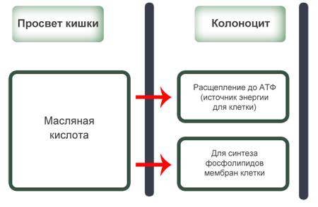 Аналоги препарата закофальк