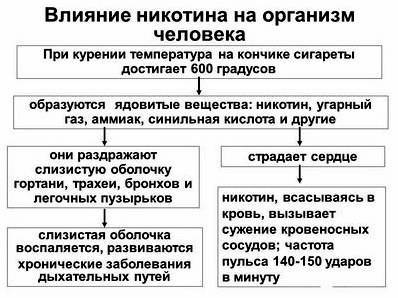 Влияние курения на хронический бронхит