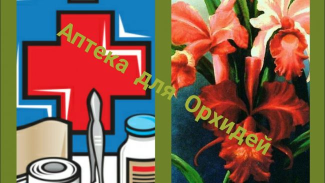 "фундазол": аналоги, заменители. обзор препаратов, инструкция по применению, отзывы