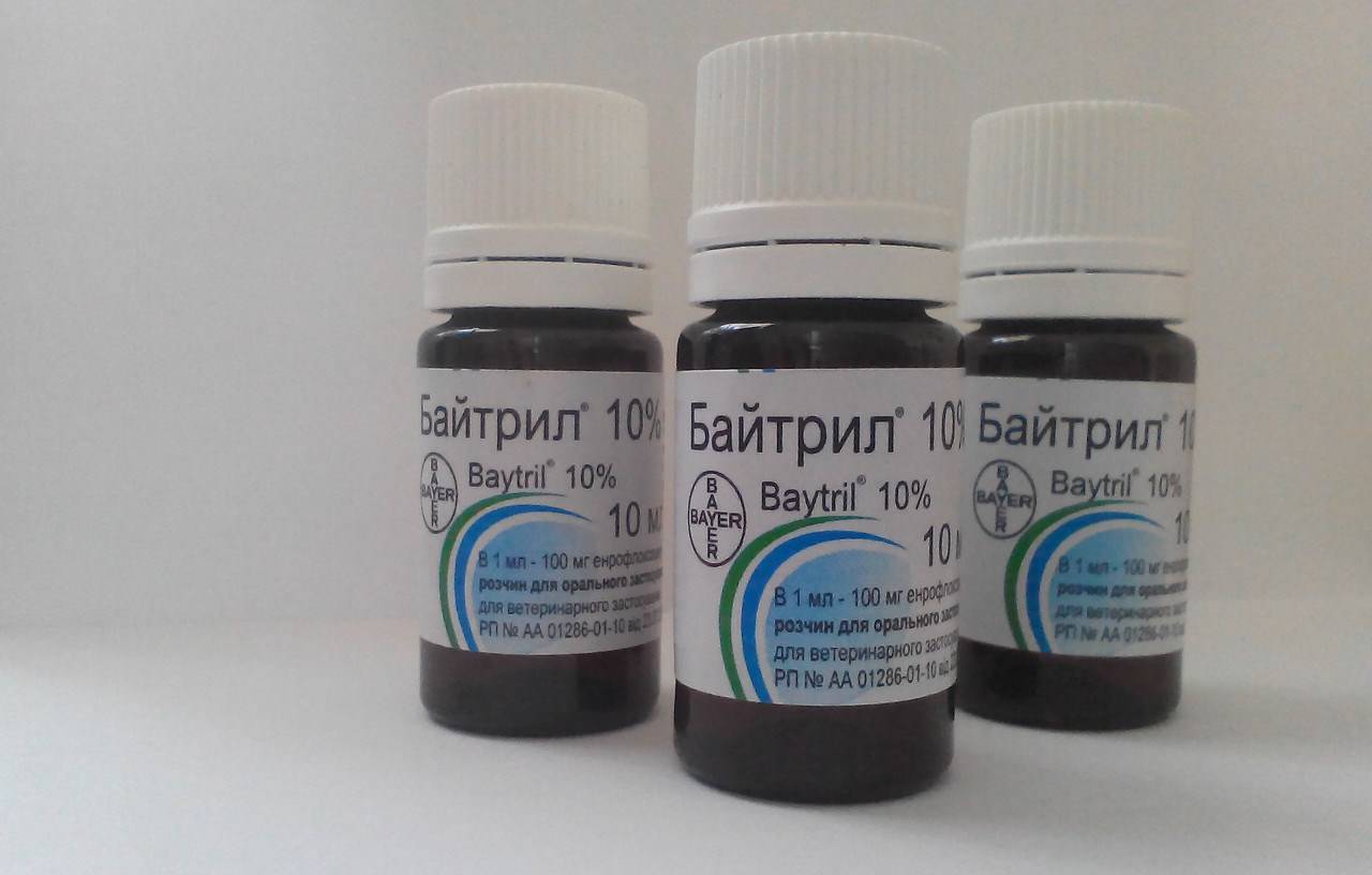 Байтрил 2,5