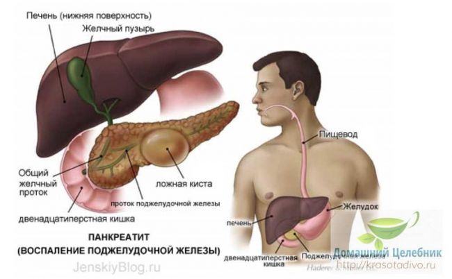 Какая нужна диета при болезнях печени и поджелудочной железы