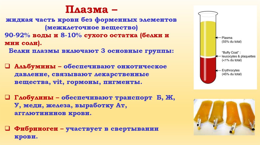 Что такое плазма крови