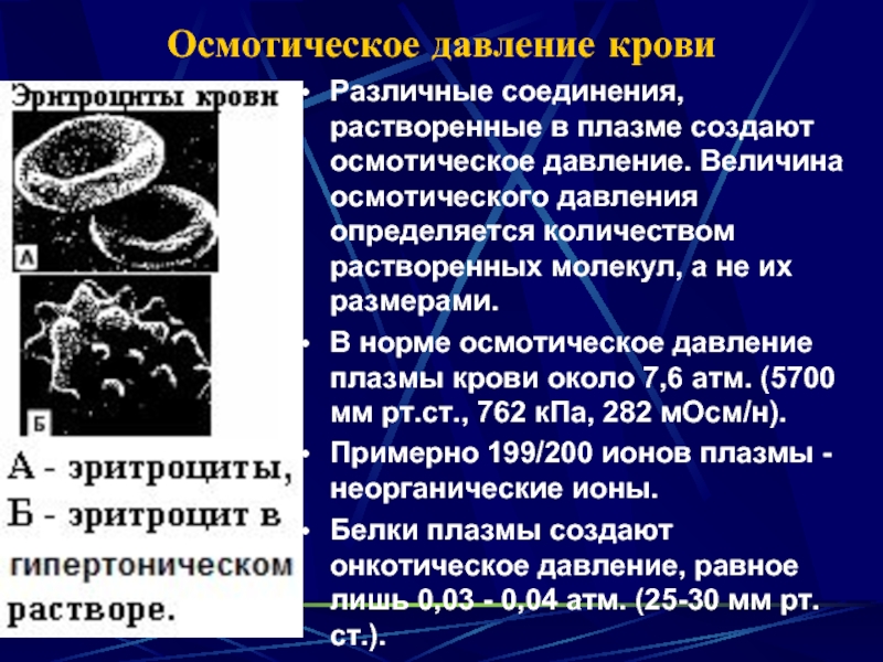 Плазма крови: состав, белки и функции, исследование и применение в медицине