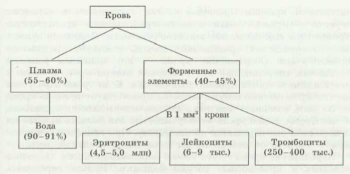 Плазма крови: составные элементы (вещества, белки), функции в организме, использование