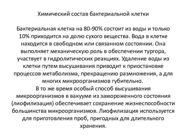 Физиология микроорганизмов