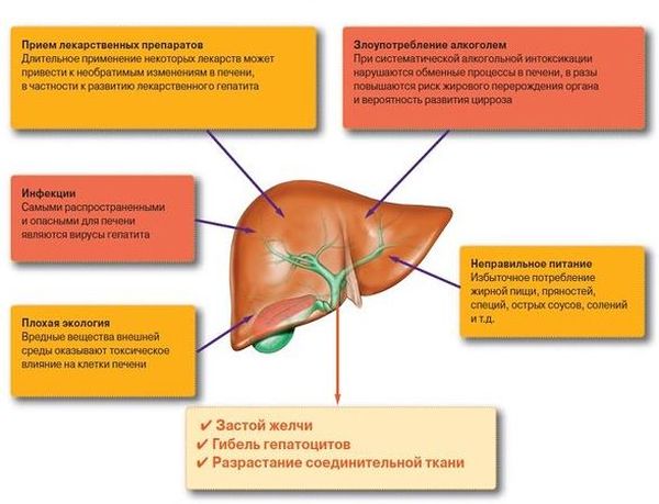 Таблетки карсил: инструкция, цена, аналоги и отзывы