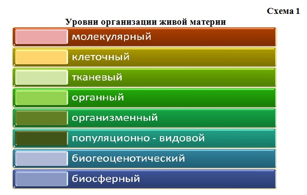 Особенности лечебной физкультуры после травмы головного мозга (чмт)