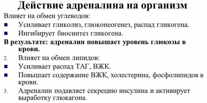 Адреналин в крови и его влияние на организм человека