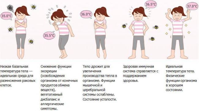 12 причин пониженной температуры тела