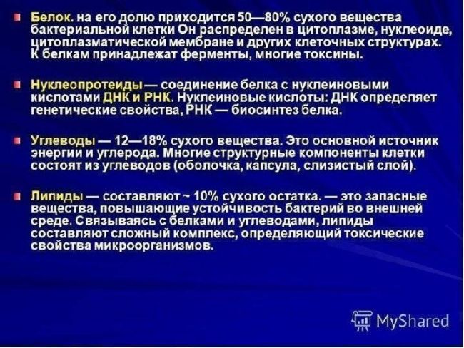 Как питаются и дышат бактерии? зачем бактериям ферменты и пигменты?