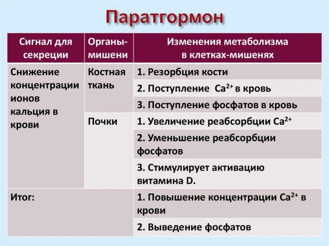 Кальциевая диета: когда и кому рекомендуется