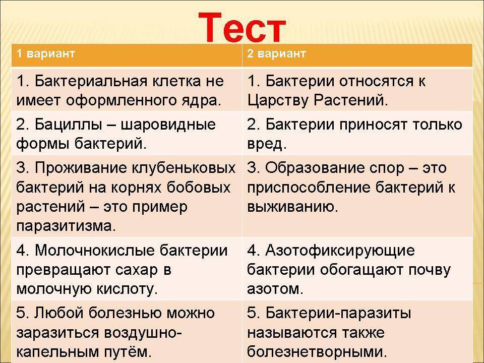 Какие бактерии считают санитарами планеты: краткий ответ
