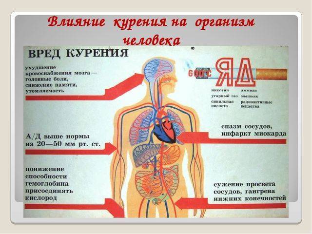 Опасность курения при бронхите