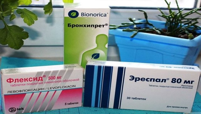 Бронхипрет: инструкция по применению, цена, отзывы, аналоги