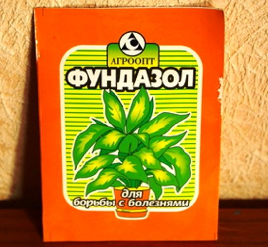 Фундизол. инструкция по применению, цена, отзывы, аналоги