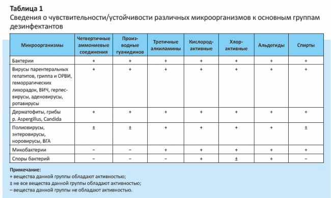 Строение бактериальной клетки