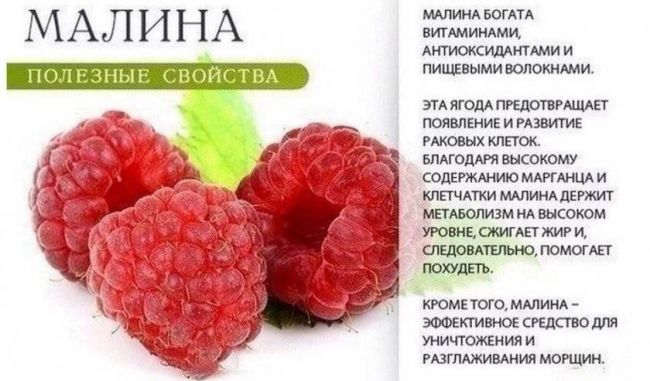 Малиновое варенье: польза и вред для здоровья