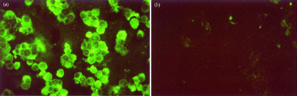 Острые вирусные гепатиты