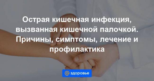 Кишечная палочка