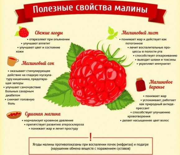Чай с малиновым вареньем, польза при простуде, лучшие рецепты, как правильно применять у детей и беременных женщин