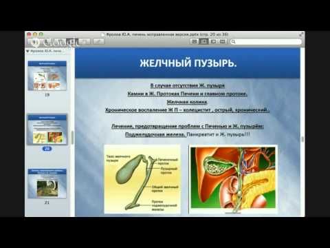 Панкреатит: как взаимосвязано воспаление поджелудочной железы с нездоровьем печени и желчного пузыря