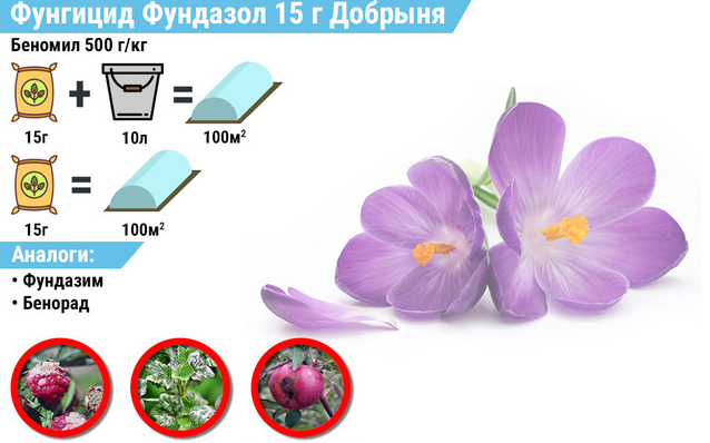 Фундазол для огородных культур и комнатных растений: инструкция по применению